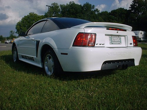 Mustang 01