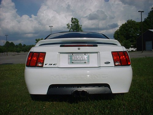 Mustang 02