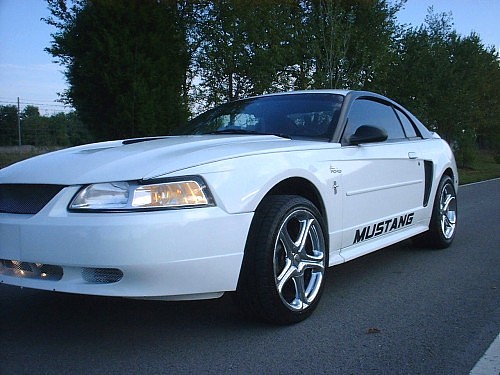 Mustang 05