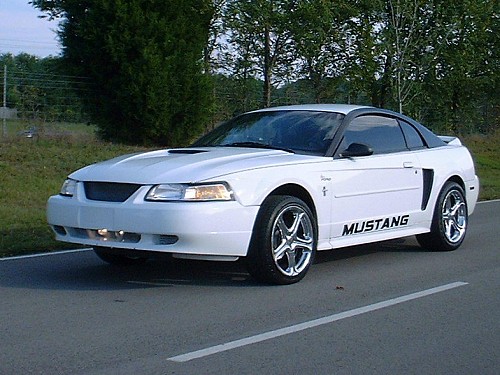 Mustang 07