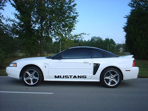 Mustang 08