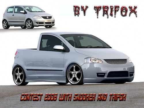 VW Fox - 1