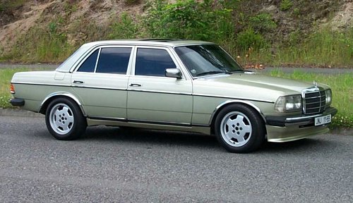 Medved - 2
