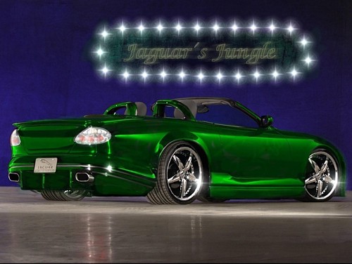 Jaguar - 1