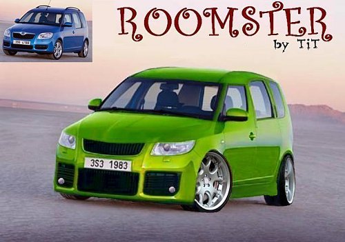 Roomster - 1