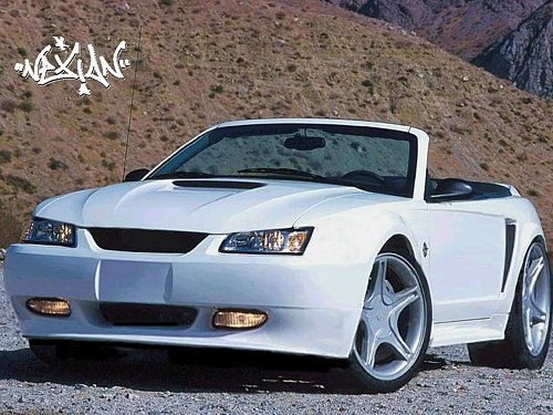 Mustang - 2